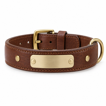 Full-grain leather pet collar with laser engraved name