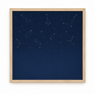 Custom pet star map wall art printed on canvas