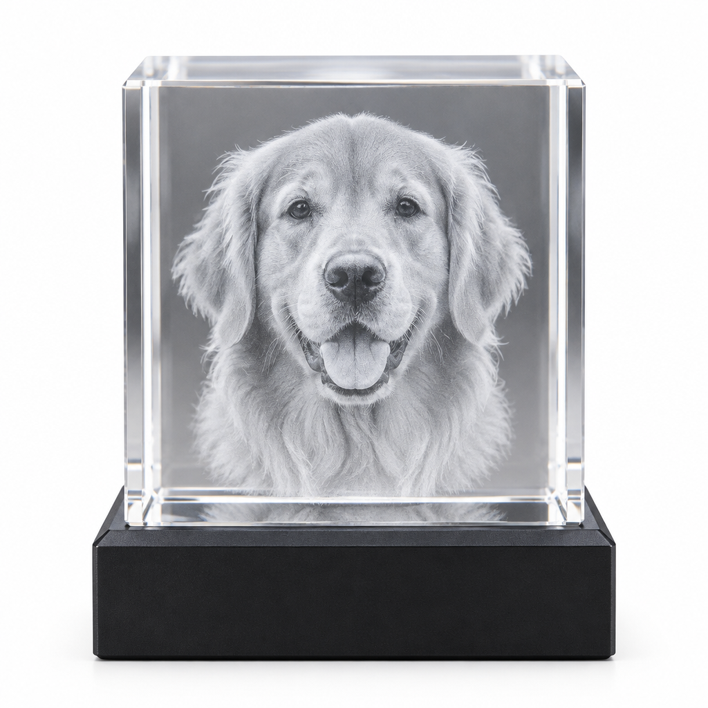 Crystal Cube Golden Retriever - White BG