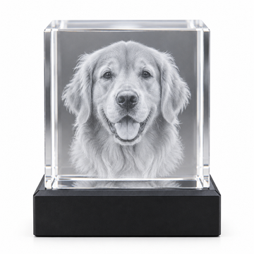 Crystal Cube Golden Retriever - White BG
